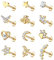 JewBella 12 Stück 16G Knorpel Helix Ohrringe für Damen Herren Chirurgenstahl Innengewinde CZ Mond Herz Stern Blatt Labret Medusa Nasenstecker Conch Tragus Helix Piercing Silber/Gold