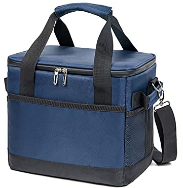Nevera Portatil Plegable Bolsa Termica Porta Alimentos 10L /18L/35L Bolsa Comida Trabajo con Soporte Extraíble y Placa Base Dura, Bolsa Nevera Playa, Picnics, Camping, Trabajo (10 litros)