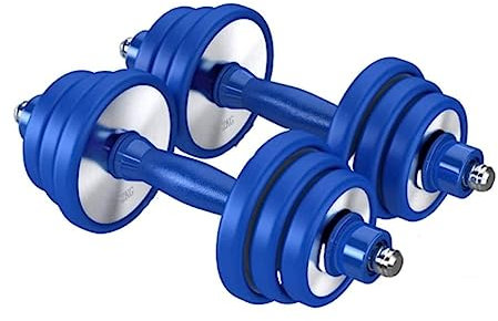 Kurzhanteln Hanteln Hantel Fitness Hanteln Langhantel Heben Edelstahl Hantel Fitnessgeräte Heim Hanteln Mit Verstellbarem Gewicht Hantel Workout (Color : Blu, Size : 20kg(10kg*2))