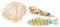 Nordstral Haarklammer Sea World Set - Haarklammer in 5,5 x 1,8 cm, Haarspangen Damen und Haarspangen Mädchen