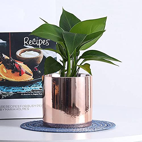 GXBCS Pot de Fleur Exterieur Pots de Plantes Pot de Jardin Pot de Fleur galvanoplastie doré Plante succulente Pot bonsaï en Pot Micro Paysage Pot Jardin planteur Ornements 929(Color:Rose Gold)