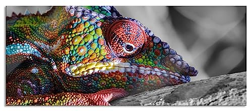Pixxprint Glasbild Panorama, Wandbild aus Echtglas, Chamäleon aus Madagaskar, 100x40 cm, inkl. Aufhängung und Abstandshalter