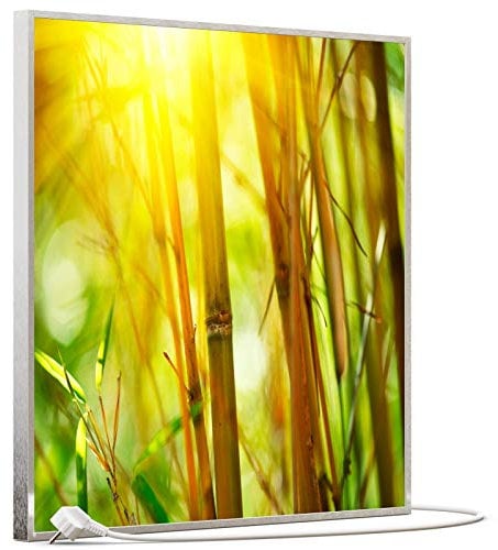 STEINFELD Bild Infrarotheizung mit Thermostat | Made in Germany | viele Motive 350-1200 Watt Rahmen silber (350W, 062 Bambusbild)