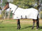 Outdoor-Fliegendecke SUPERB