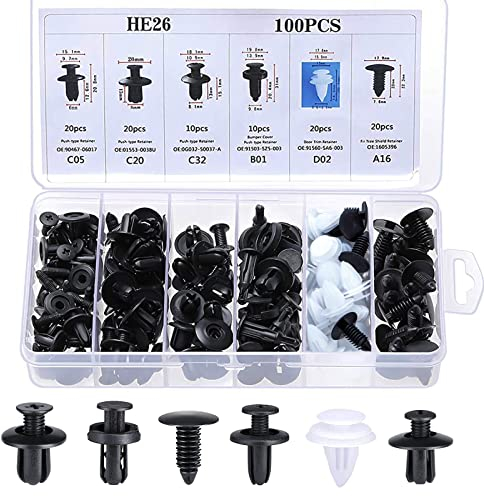 Auto Befestigung Clips, 100 Stück Universal Auto Kunststoffniet Clips mit Türverkleidung Klammern Stoßstangen Karosserie Spreizniete Plastikclips, 6 Arten