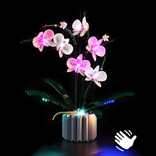 cooldac Kit di luci a LED per Lego Icons 10311, set di luci a LED, versione di controllo sonoro, compatibile con Lego 10311, icone orchidee, mattoncini da costruzione, modello (solo luci, non modelli