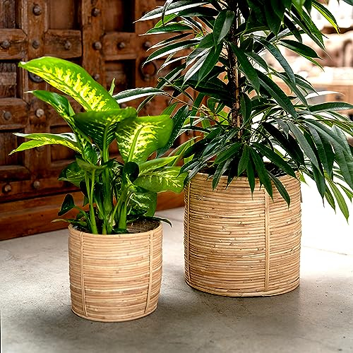 DARO DEKO Rattan Korb Topf Ø 31 x 31cm rund Blumentopf geflochten Aufbewahrungskorb Übertopf Blumenkorb