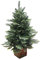 Holyart Weihnachtsbaum im Topf, Modell Pinetto, 100 cm, Polyethylen und PVC