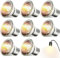 Sunshine smile 8 Stück UVA UVB Lampe Terrarium 50 Watt,Reptilien Wärmelampe,Wärmelampe Schildkröten UVA UVB,UV Lampe Schildkröte,UVA UVB Lampe Terrarium e27,Wärmelampe Terrarium,Reptilien Lampe