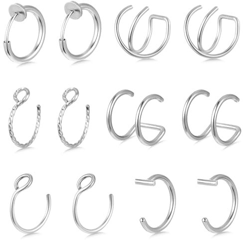 12 Stück Fake Nasenpiercing Ring Set Fake Nose Ring Dünn Lippe Piercing Nasenring Silber Nasen Piercing Ringe Schmuck Edelstahl Nasenringe Hoop Septum-Knorpelring-Set Für Damen Männer(6 Stile)