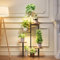 Plant Stand Indoor with Grow Lights - 6 Tiered Tall Metal Shelf for Indoor Plants Multiple, Lighted Corner Rack Flower Display Holder