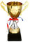 NUOBESTY Golden Metal Trophy Award Trophy Cup for Kids Sport Competitions Party Favors First Place Winning Prizes 27cm