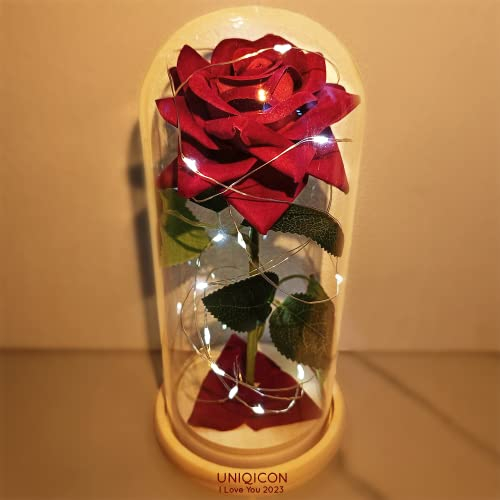 La Bella e La Bestia Rose Incantate, Rosa Eterna, Elegante Cupola di Vetro con Base Pino Luci LED, Romantico Kit di Rose per Il San Valentino Anniversario Matrimonio Regalo di Festa della Mamma