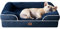 EHEYCIGA Orthopädisches Hundebett Kleine Hunde, 76x51x15cm, Memory Foam Hundekorb Mittelgroße Hunde, Waschbar Hundesofa Wasserdicht rutschfest, Hundecouch mit Hohem Rand, Marineblau