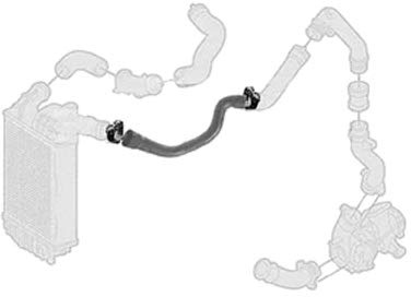 Borg & Beck BTH1262 Turbo Hose To Fit PSA Boxer 2 5TED 94-02