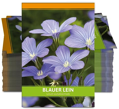 FLORTUS Blauer Lein als Gastgeschenke (100 Stück) | Blumensamen als Dankeschön Geschenke, Mitgebsel & Werbegeschenke | Bienenfreundliches Saatgut