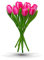 MomoMoments Tulpenstrauß aus Holz für die Liebste, 9 Holztulpen, 34 cm hoch, handbemalt, Blumenstrauß, Holzblumen, Muttertag, Frauengeschenk, Made in Holland (Pink/Weiß)