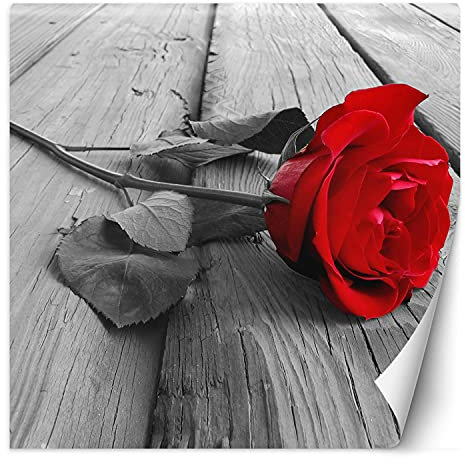 Feeby Papier Peint Intisse Fleur De Rose Rustique 250x250 cm rouge Moderne Panoramique XXL Photo Mural Muraux Chambre Bureau Salle Plante Abstrait
