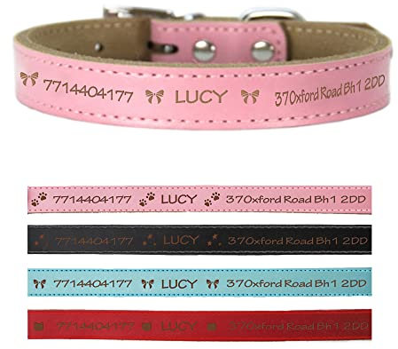 Personalised Dog Collars Leather Dog Collar Custom Pets Collar Small Medium Large Dogs Collars for Pets with Name Engraved Pet ID Tag for Cat Puppy Dogs 4 Sizes & 4Colors(Pink M)