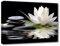 LZIMU Zen Leinwandbilder weißer Lotus und schwarze Zen Steine blühen im Wasser Bilddrucke für Yoga Spa Meditation spirituelle Raumdekoration (Zen-1,(28.00 x 35.00 cms))