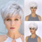 AUBWIG Perruques à poils courts Pixie Cut Fluffy Layer Perruque droite avec frange Perruque courte grise mixte blanche perruque résistante à la chaleur pour femmes (gris mélangé avec blanc)