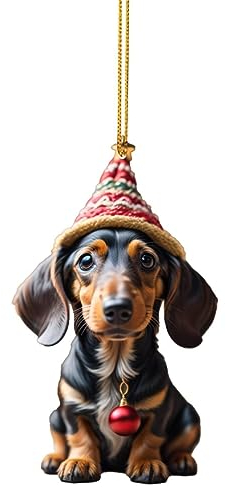 Gyaimxfu Weihnachtsbaum Katzen Anhänger Acryl Weihnachtskatze Hängende Deko Lustiger Weihnachten Katzen Ornament Spaß Weihnachtsanhänger Deko Christbaumschmuck Weihnachtsschmuck Geschenk