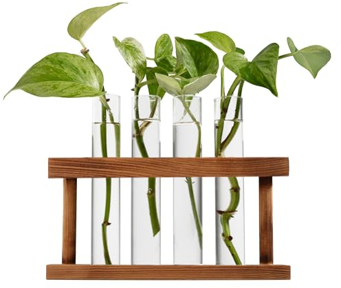 D'Eco Pflanzen-Anzuchtstation aus Glas (Set mit 4 Röhren mit Holzdisplay) – Hydrokultur anbauen und beobachten Sie, wie sie Wurzeln wachsen. Tischvasen für den Innenbereich für Zuhause, Garten,