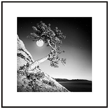 STYLER Gerahmtes Bild Moon Tree 50 x 50 cm | Artbox | Wandbild mit schwarzem Rahmen | See Fels Meer Mond Baum Natur Berge Landschaft | Schwarzweiß Schwarz Weiß | Wohnzimmer Schlafzimmer Küche