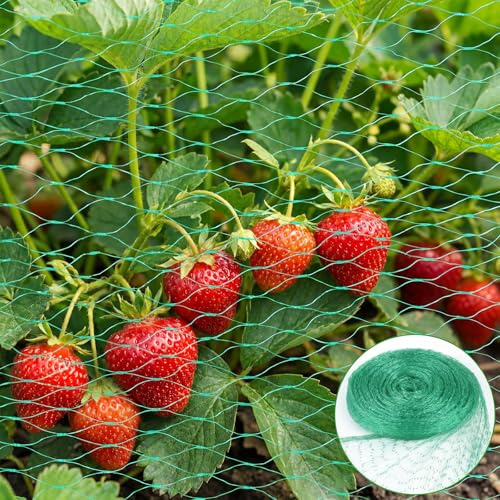 Vogelschutznetz Engmaschig, 4 x 6 M Vogelnetz für Obstbäume, Laubnetz Feinmaschig Gartennetz Teichnetz, Vogelnetz für Pflanzen, Früchte, Gemüse, Blumen, Sträucher (Grün-4 * 6M)