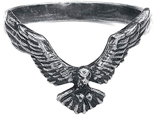 Alchemy Gothic Ravenette Ring silberfarben S