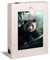 Ulmer Puzzleschmiede - Puzzle „Panda im Bambuswald“ - Wildromantisches 1000 Teile Puzzle mit Tiermotiv – Der seltene Panda-Bär in Seiner Heimat in China - Tiere & Natur als exotische Puzzle
