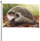Igel-Flagge, 1,2 x 1,8 m, für draußen, lustiges Banner, Gartenflagge, doppelseitiger Druck, Willkommensbanner für Zuhause, Garten, Hof, Rasen, Innen- und Außenbereich, Dekoration