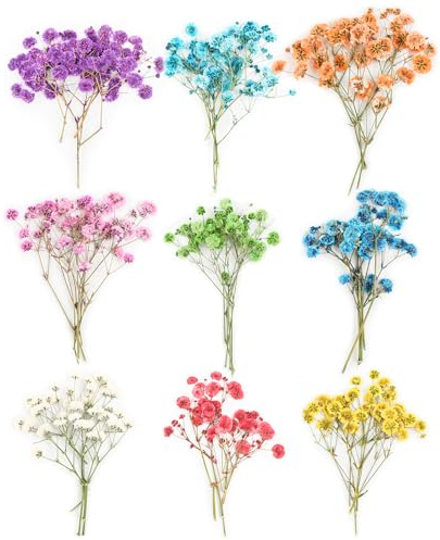 45 Stück Getrocknete Blumen, Natürliche Trockenblumen zum Basteln Schleierkraut Getrocknet Blumen DIY Gepresste Blumen Trockenblumen für Kerzen Harz Schmuck Nagel Anhänger Kunsthandwerk Deko(9 Farben)
