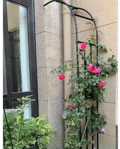 Traliccio Da Giardino In Metallo A Mezzo Arco Per Piante Di Rose, Pergolato Ad Arco Fissato Al Muro, Altezza 2,4 M, Resina Resistente Agli Agenti Atmosferici, S(Size:W220XH240cm(7.2x7.9ft),Color:Nero)