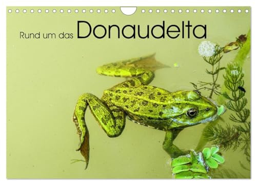 Rund um das Donaudelta (Wandkalender 2026 DIN A4 quer), CALVENDO Monatskalender: Natur, Tiere und Impressionen aus dem Donaudelta. (CALVENDO Orte)