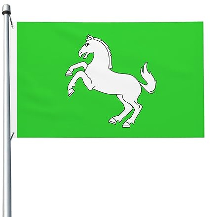 Garten Flaggen Rohan Personality Flag Dekoration Feiertage Flags Uv-Beständig Balkonflagge Für Drinnen Party Parade 90X152CM