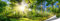 ARTBAY Wald Poster HD XXL - Panorama Kunstdruck - 118,8 x 42 cm | von Sonne durchfluteter, Zauberhafter Wald | Natur Bilder | Premium Qualität