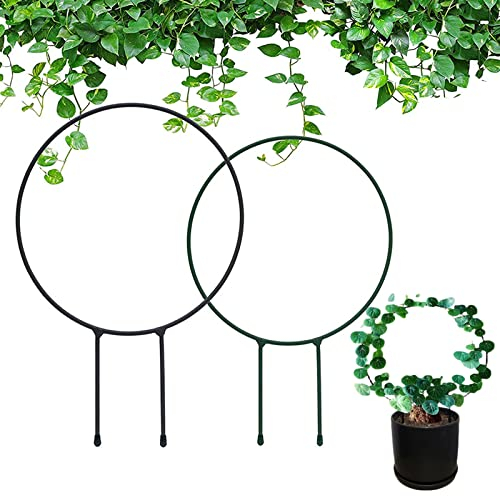 Metal Garden Trellis for Climbing Plants 2 Pcs, Round Decorative Metal Garden Stakes Plant Support Stakes for Indoor and Outdoor Ivy Hoya Plant