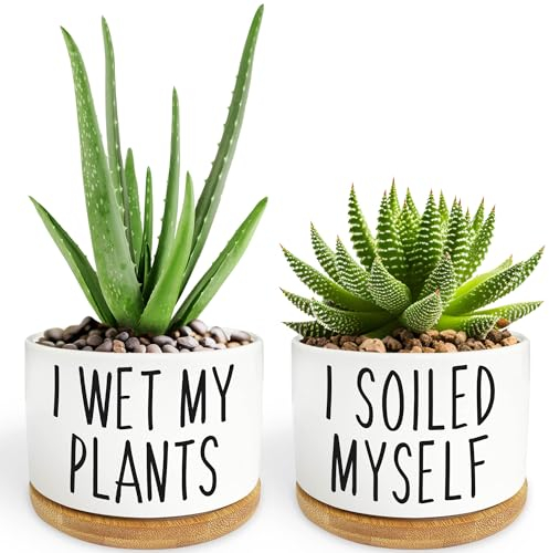 2 Pack I Wet My Plants - Funny Ceramic Planter Pot with Drainage, Cactus Pot, Cute Succulent Pots,Aloe Vera Plant Pot,Funny Plant Gifts for Women, Friends, Coworker