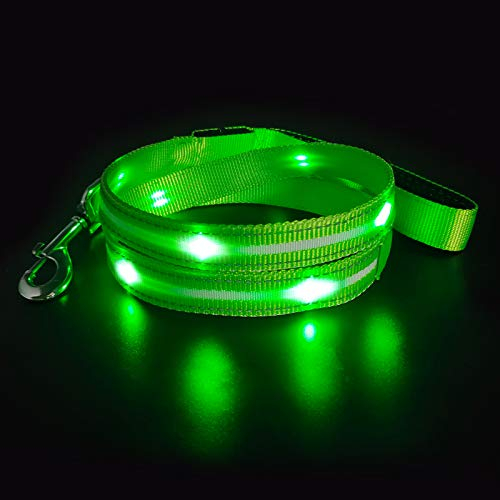 MASBRILL LED Hundeleine, Leuchtend Hundeleine für Kleine, Mittelgroße Große Hunde, USB Wiederaufladbar & Wasserdicht, 3 Beleuchtungsmodi 5 Farben Erhältlich, Sichtbarkeit bis zu 350M(Grün)