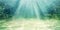 MIRRORANG 91x41cm Aquarium Background Aquatic Plant Bubble Underwater Ocean Floor Fish Tank Poster Backdrop Vinyl Background