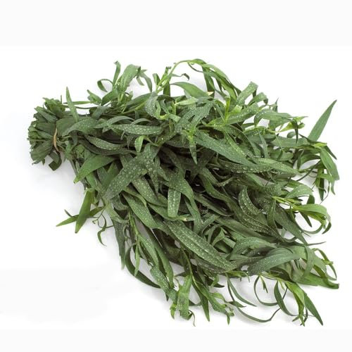semillas de estragón perenne resistente, Balcón de lecho de hierbas, semillas orgánicas Semillas de plantas de estragón Semillas de prado de flores, de jardín de hierbas 50pcs