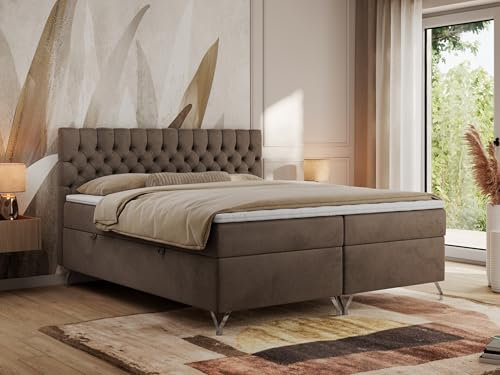 MKS MEBLE Boxspringbett 200x200, Bett 200x200 mit Matratze H4, Boxspringbett 200x200 mit Bettkasten und Topper, Polsterbett 200x200 Füße - GRIMALDI - 200x200 - Braun Velvet - H3