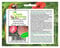 Stk - 10x Nauclea latifolia Laubbaum Garten Pflanzen - Samen ID249 - Seeds & Plants Shop by Ipsa