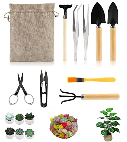 RUIYWEN Kit di Attrezzi da Giardinaggio 10 Pezzi Mini Attrezzi per Bonsai, Piante Grasse, Piantine, Cactus, Piante in Vaso