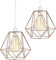2 Pack of Rose Gold Cage Metal Basket Ceiling Light Shade, Ceiling Fitting Light & Industrial Style Ring Light for Indoor and Metal Basket Pendant Light Shade with Reducer Ring