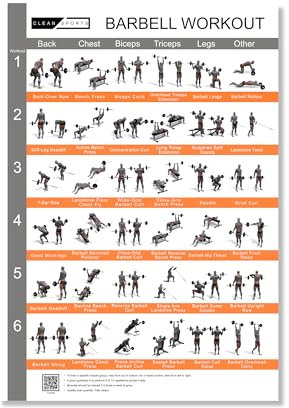 CLEAN SPORTS® Langhantel Workout Poster mit sechs Ganzkörperworkouts zum Nachmachen | Barbell Sportposter für Hobbyraum oder Fitnesstudio (Din A1)
