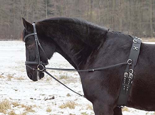 German Riding Dreieckszügel Wienerzügel nach §70 LPO auf Turnieren zugelassen Leder schwarz Cob/Full