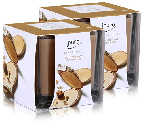 Essentials by Ipuro Duftkerze Cedar Wood 125g - Holzige Noten umschmeichelt von fruchtigen und blumigen Nuancen (2er Pack)