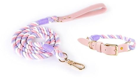 feiling Hundeleine mit Hundehalsband Set für Mittelgroße und Große Hunde Geflochten Hundeführleine Bunt 1.5m Tierleine Haustier Schauleine (S, lila)